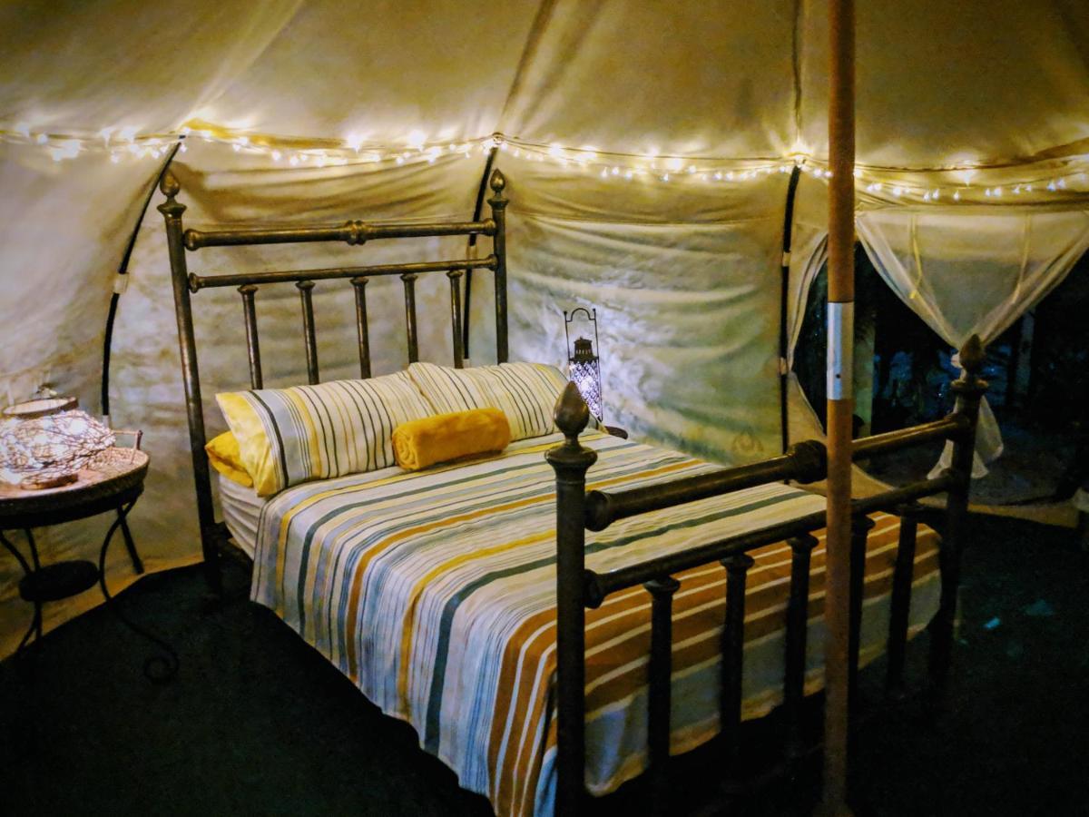 Отель Wild Lotus Glamping Bolands Экстерьер фото